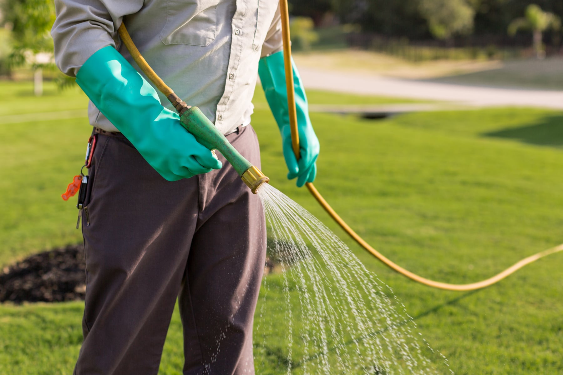 4 Missing Things In The Scotts 4 Step Lawn Care Tips For Homeowners In 4 missing things in the scotts 4 step lawn care tips for homeowners in